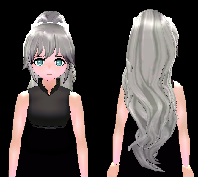 Long Wavy Ponytail Hair Beauty Coupon (F) Preview.png