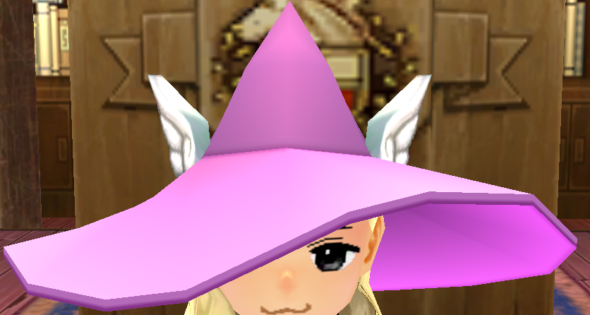 Equipped Winged Wizard Hat viewed from the front
