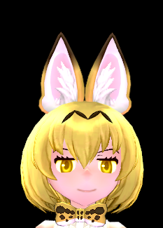 Fennec Fox Eyes Beauty Coupon preview.png