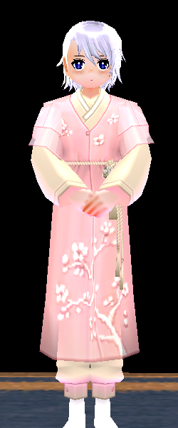Elegant Hanbok Costume (M) Equipped Front.png