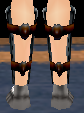 Equipped Guardian Boots viewed from the back