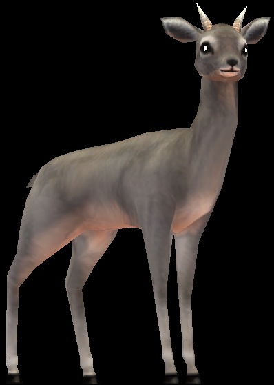Picture of Arat Deer