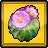 Cactus Flower Icon.png