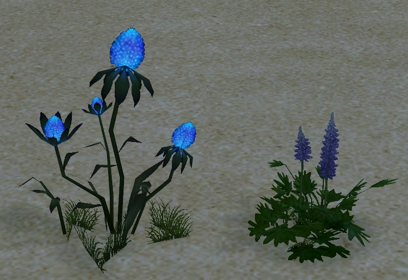 How Homestead Avalon Plains Blue Wildflowers appears at night