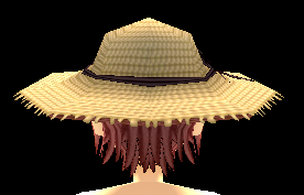 Equipped Straw Hat viewed from the back