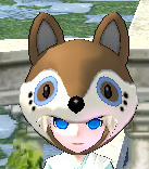 Raccoon Hood Equipped Front.png