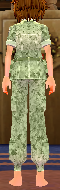 Equipped Desert Soldier Camo Uniform (F) viewed from the back