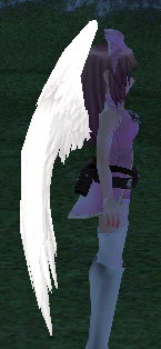 White Angel Wings Equipped Side Night.png