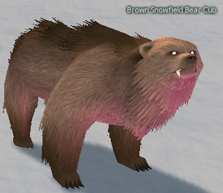 Picture of Brown Snowfield Bear Cub