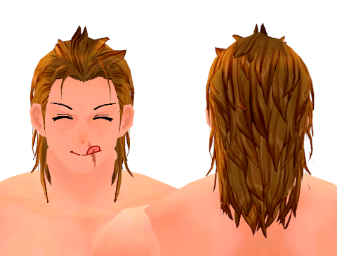 Wild Hunter Hair Beauty Coupon (M) preview.png