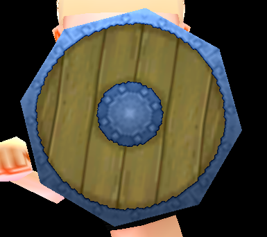Equipped Round Shield