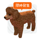 Brown Poodle1.gif