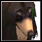 Pet Afghan Hound.png