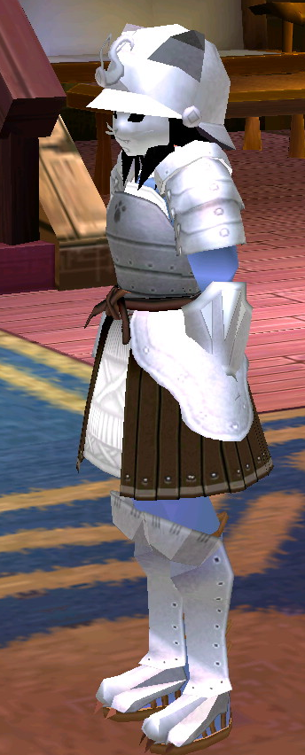 Equipped Female Cat Armor Set viewed from an angle