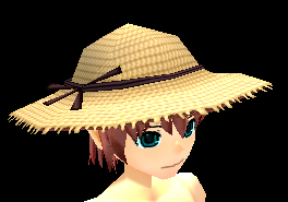 Equipped Straw Hat viewed from an angle