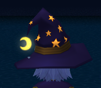Equipped Night Witch Hat (Default Night) viewed from the back