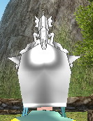Equipped Dragon Crest (White) viewed from the back with the visor up