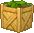 Inventory icon of Mysterious Sapling