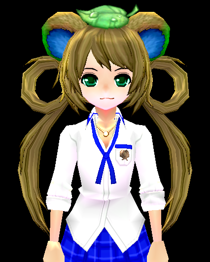 Tanuki Ear Wig Equipped Front.png