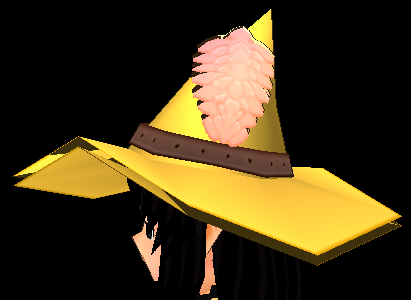 Equipped Broad-brimmed Feather Hat viewed from the side