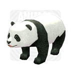 Panda1.png