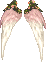 Wings of Tuan