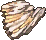 Apostle's Hardened Shard.png