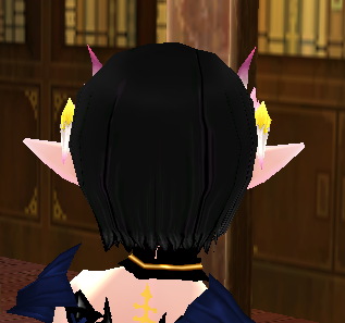 Equipped Geas Edge Circlet viewed from the back