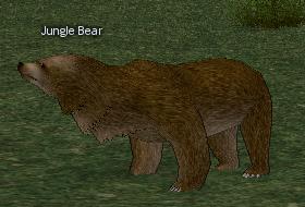 Picture of Jungle Bear
