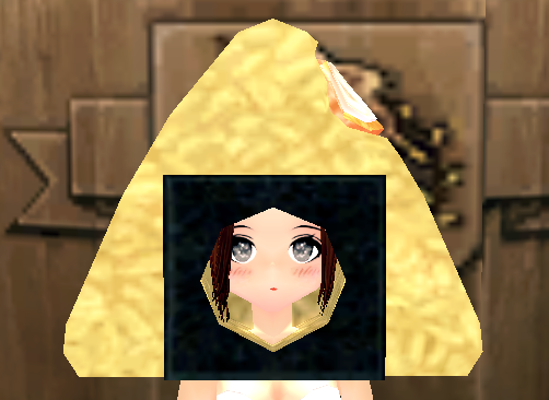 Used Triangle Kimbap Hat Equipped Front.png