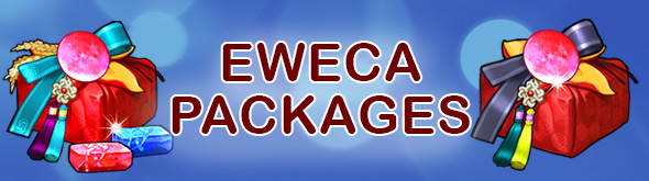 Banner - Eweca Packages 2017.jpg