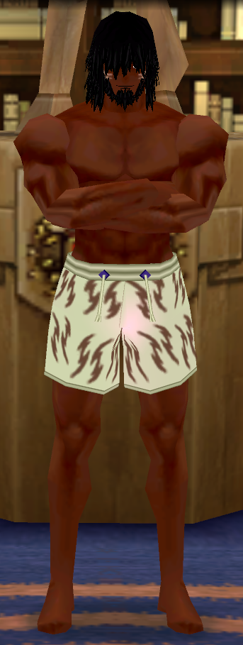 Giant Spark Swim Trunks (M) Equipped Front.png
