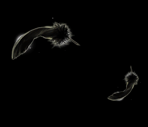 The appearance of Morrighan's feathers