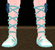Luxurious Crystal Shoes (Female) Equipped Front.png