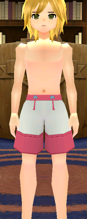 Swim Trunks (M) (Type 4) Equipped Front.png