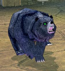 Picture of Blue Grizzly Bear