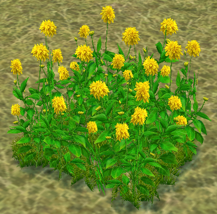 Building preview of Homestead Chrysanthemum Patch (Whole)