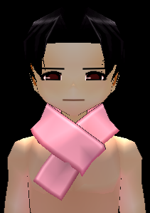 Scarf Equipped Front.png
