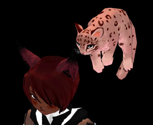 Warrior Cats: Ultimate Edition, Roblox Wiki