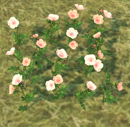 Building preview of Homestead Pink Rose Patch (Full)