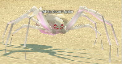Picture of White Desert Spider