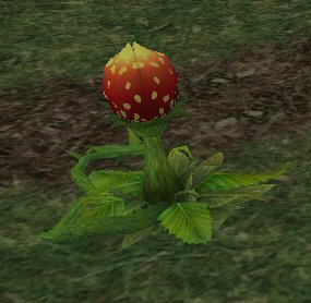 Carnivorous Plant (Red) - Mabinogi World Wiki