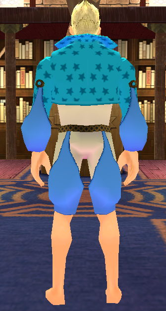 Equipped Giant Star-shaped Magician Outfit (M) viewed from the back