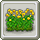 Homestead Chrysanthemum Patch (Whole)