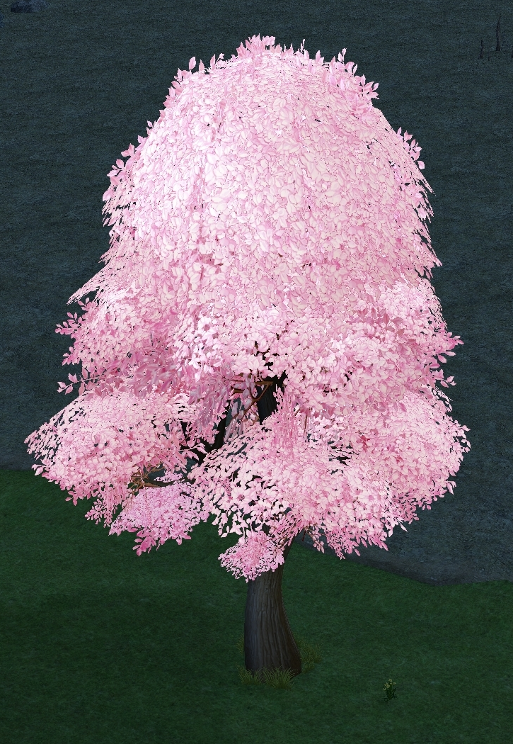 How Homestead Pink Cotton Candy Tree appears at night