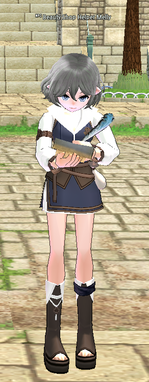 Caswyn Mini-Gem - Mabinogi World Wiki