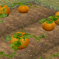 Building preview of Pumpkin (Homestead)