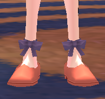 Alice's Shoes Equipped Front.png