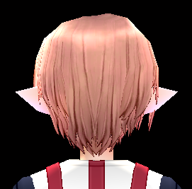 Equipped Festia Merchant Wig (M) viewed from the back