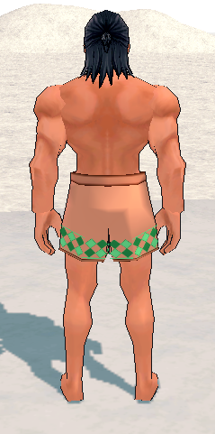 Equipped Giant Diamond Swim Trunks (M) viewed from the back